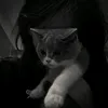 babayaka_333