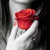 lenna2334