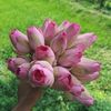 shobana328