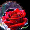 user8801516156002