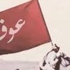 fffalharbii