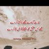 zidimughal123