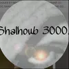 shaalhoub3000