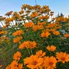 useramkd2qvoua