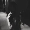 shhsecretabby