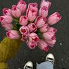kho_kha661