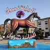 الحياينة نمبر وان1