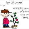 darlane.azevedo7