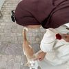 haf_idaa22