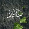 amna525376