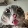 crazyvr_on_tt