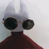 sousr_g