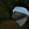 vimerr_1iq