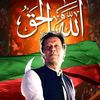 syed.hamza6856