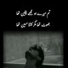 syed.baqir.shah01