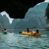 Du lịch kiểu Bụi