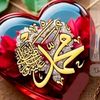 user8579009258128