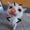 gomio.harimo