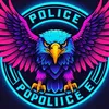 Auditingcops17