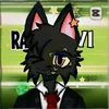 ravinfil