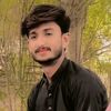 majid3163