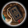 amer_zn28