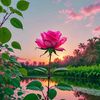 ahmed.salah5094