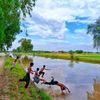 khokhar_7805