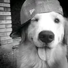 xixi.xyy0