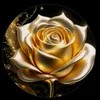 user9837190522333