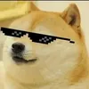 doge_404