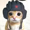 user7660281481241