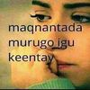 hani.cadey76