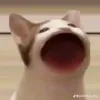 truongquenguyen797