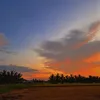tnanh207