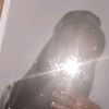 rawrrr_2025