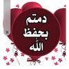 sadek.faidi