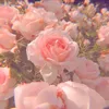 abcdefgh___96