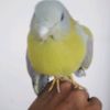 m.tariq.tariq070