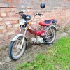 bebra0954