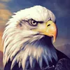 ahmadybc6gd