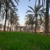 noor_babylion0