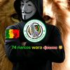 274waraba.n1
