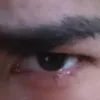 arhent_papu
