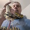 ballpython63