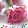 user49524970100601