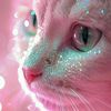 user3850751681907