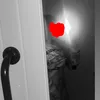 carmenking04