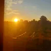 collinthelittlebull