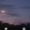 vikuskqq_1